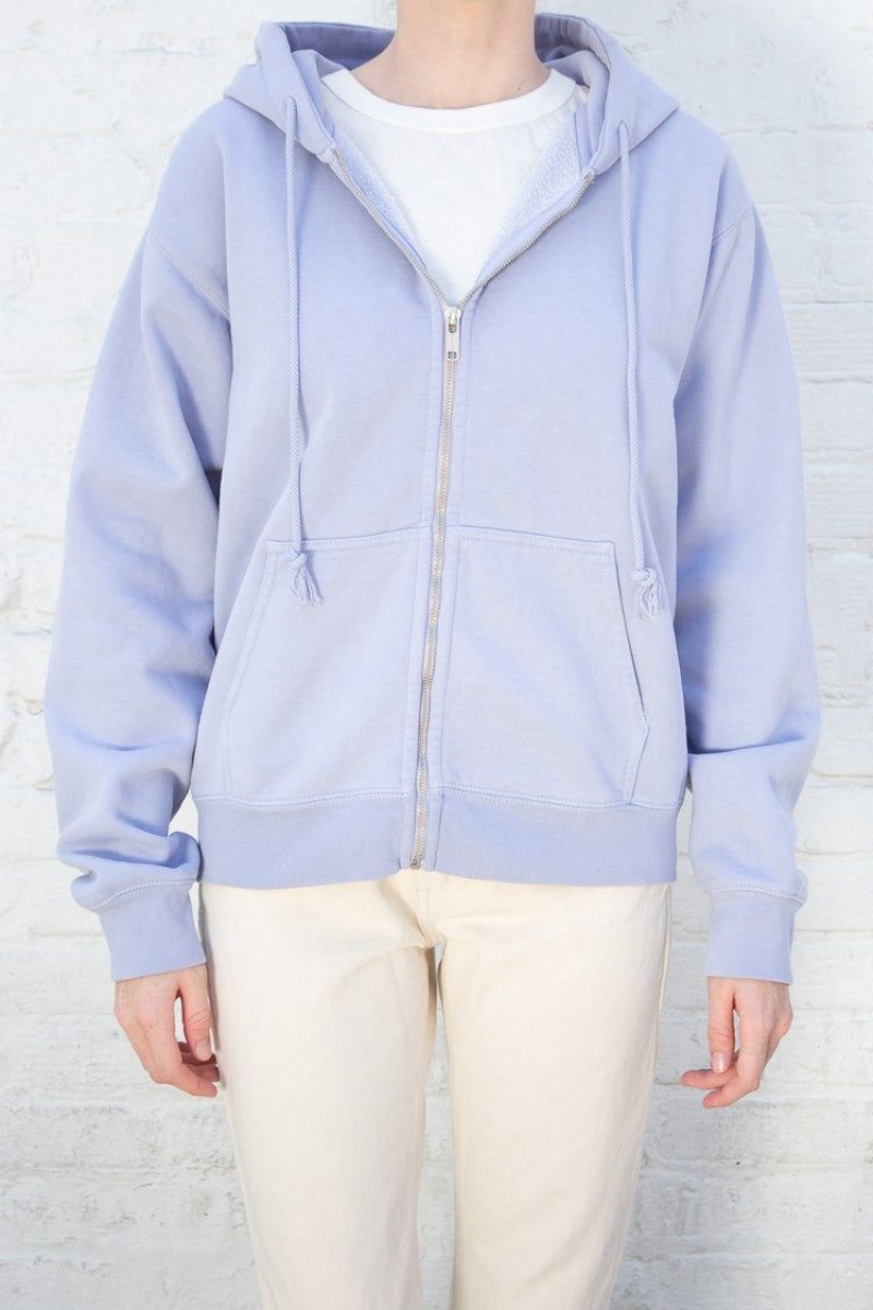 Sweat a Capuche Brandy Melville Christy Bleu Clair | NNK-75618852